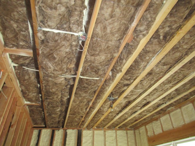 Roof Insulation.JPG